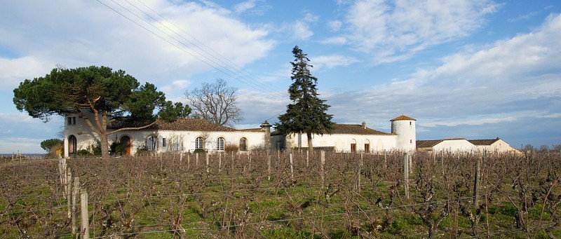 Château Lamothe Despujols - SAUTERNES - Sud-Gironde