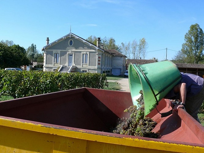 Château Lamourette 4