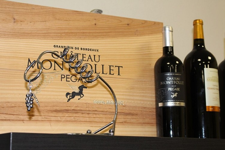 châteaux_solidaires_cars_blaye_côtes_de_bordeaux_800x600©blaye_tourisme (2)