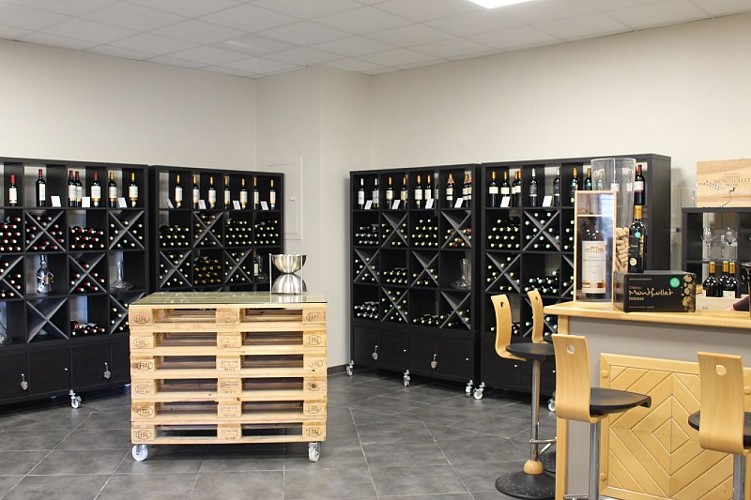 châteaux_solidaires_cars_blaye_côtes_de_bordeaux 800x600_©blaye_tourisme