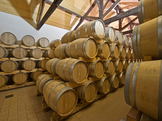 chateaux-solidaires-vignoble blaye côtes de bordeaux CARS-800X600