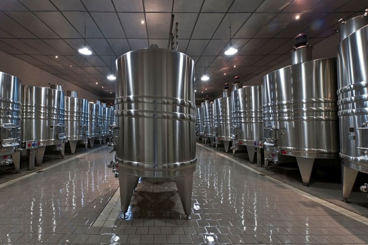 chateaux-solidaires-vignoble blaye-cotes-de-bordeaux-cuvier-CARS-800x600