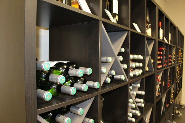 châteaux_solidaires_cars_blaye_côtes_de_bordeaux_800x600©blaye_tourisme