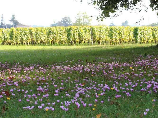 Destination Garonne, Château d'Armajan des Ormes, Preignac