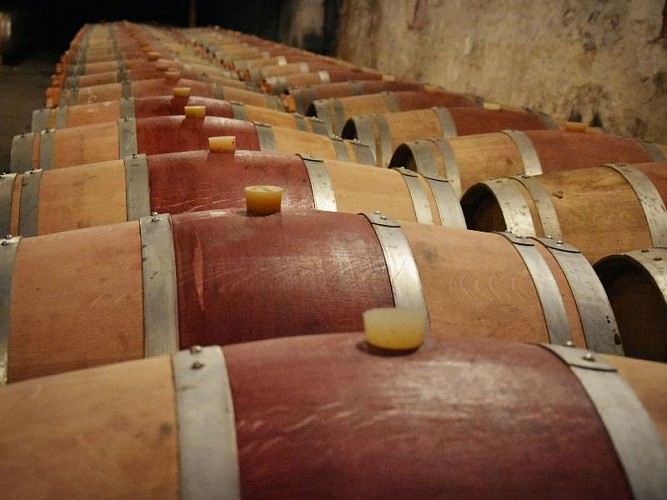 Château des Arras-StGervais-barriques800x600