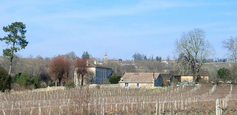 Destination Garonne, Château Peller Laroque, Laroque