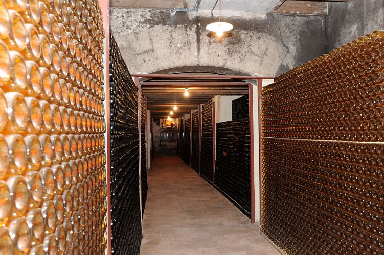 Destination Garonne, Château de Budos, Budos