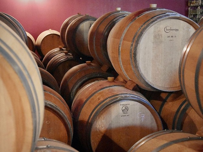 Château Insoumise St André de Cubzac 800x600