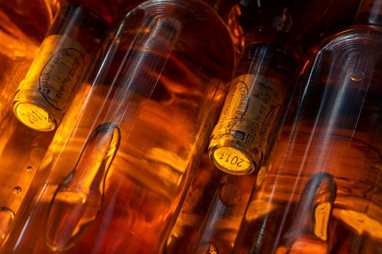 Chateau-d-Arche---SUD-GIRONDE---Sauternes3