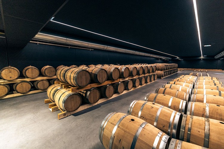 Chateau-d-Arche---SUD-GIRONDE---Sauternes2