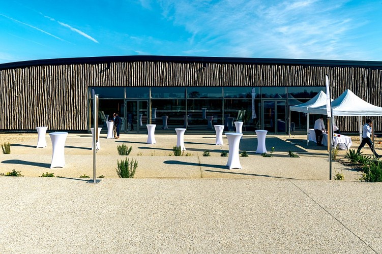 Chateau-d-Arche---SUD-GIRONDE---Sauternes7