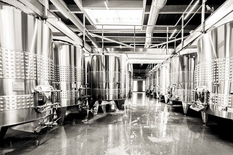 Chateau-d-Arche---SUD-GIRONDE---Sauternes1