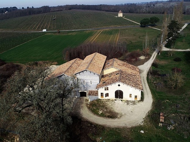 Chai-Vignobles-Piva--2--min