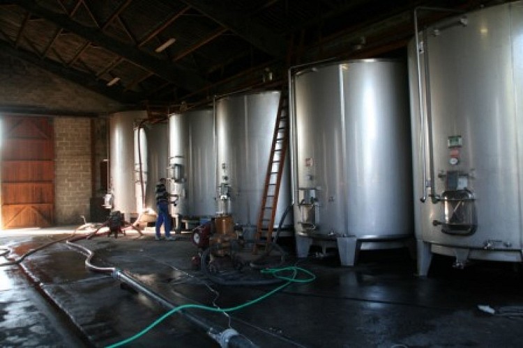 Vignobles Clissey-Fermis