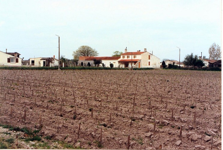 Château haut gravat (2)