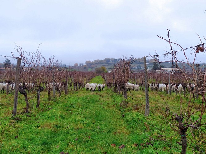 PHOTOS - OFFICES DU TOURISME - 8