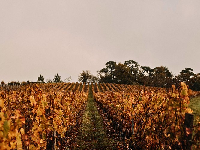 PHOTOS - OFFICES DU TOURISME - 6