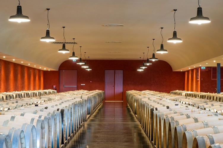 Château de Rayne Vigneau - BOMMES - Sud-Gironde 3