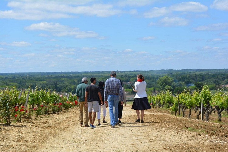 Château de Rayne Vigneau - BOMMES - Sud-Gironde 6