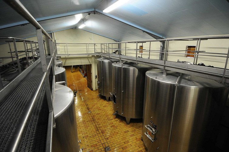 Vignobles Dubourg - Photo n° 2