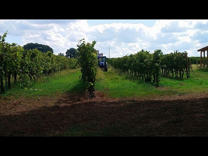 Design sans titre - 1