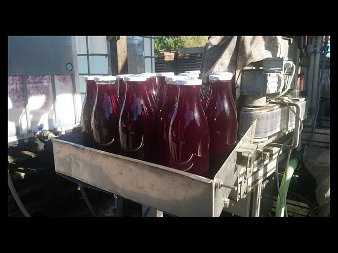 Design sans titre - 1