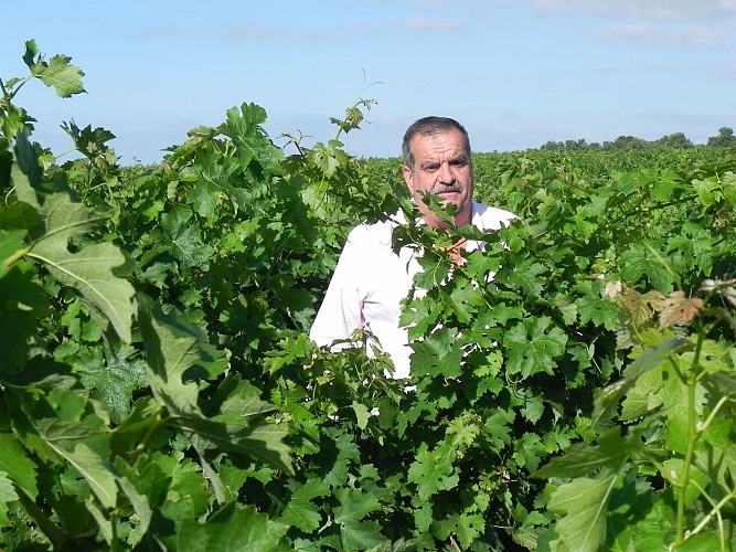 Château Haut-Brisey3