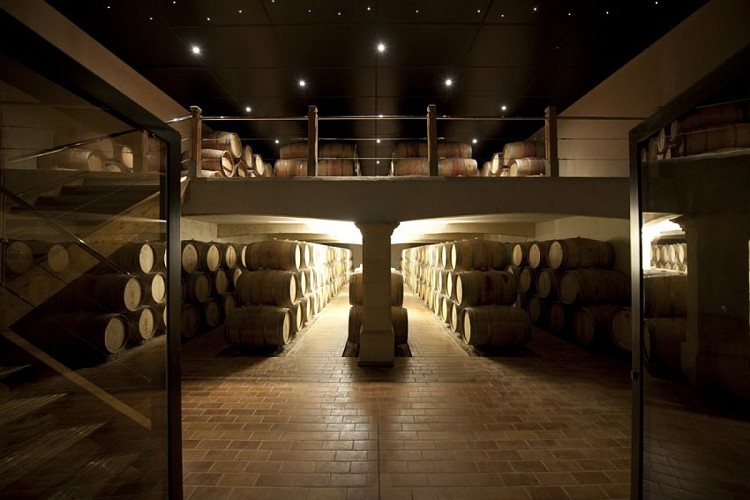 Château Poitevin 1