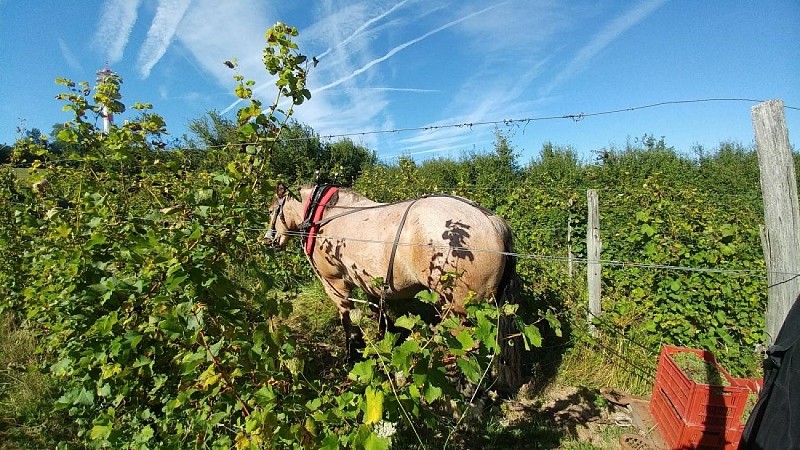 42114310-2026305630747501-7341558882348564480-o-2