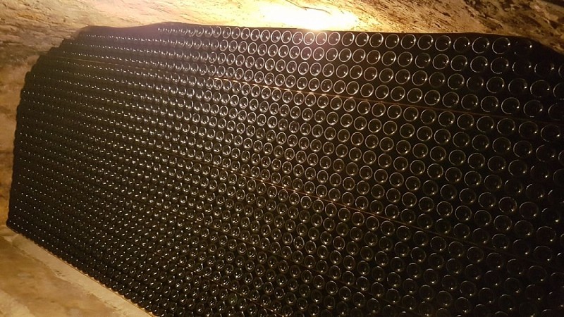 PILE GRAVA 2019 CAVEAU