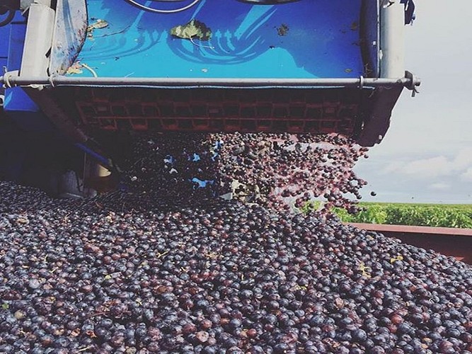 22158701-2006719936230063-3909207416671043584-n