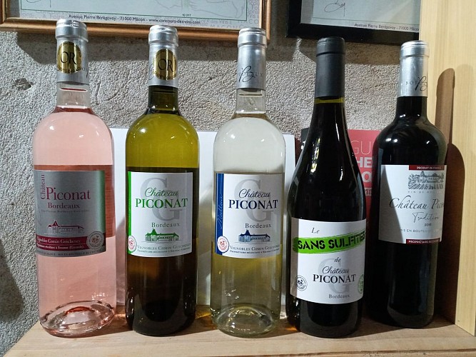 BOUTEILLES ETAGERE 2020 + 2018 X5-min