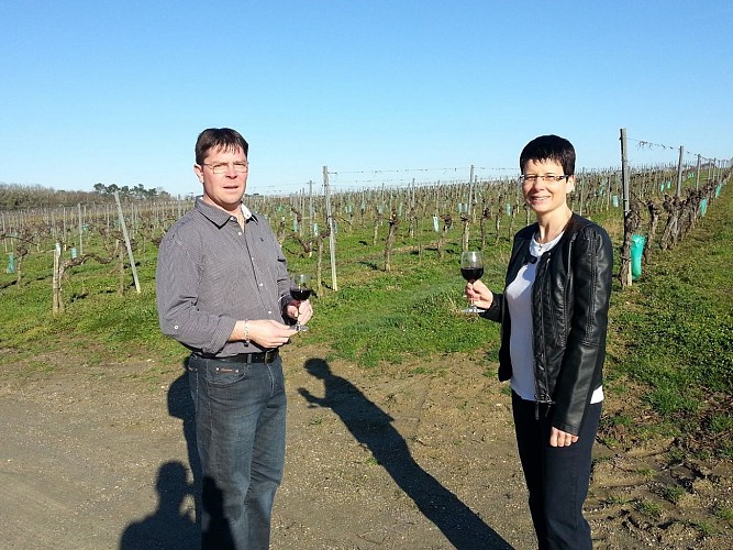 photo comp vignes-min