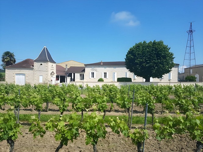 Château Piconat / EARL Comin Guicheney