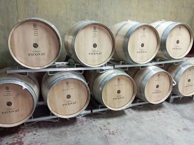 Château Piconat / EARL Comin Guicheney