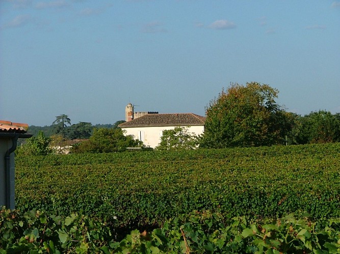 Chateau-Beauregard-Ducasse---MAZERES---Sud-Gironde-3