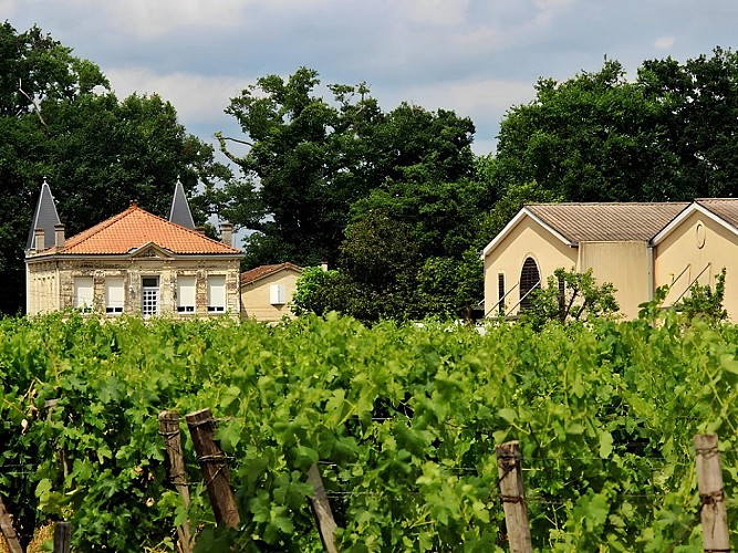 Château Freyneau
