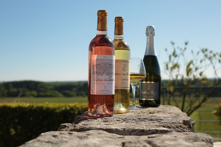 Château du Pavillon visite