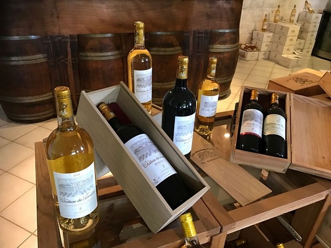 Château du Pavillon visite (2)