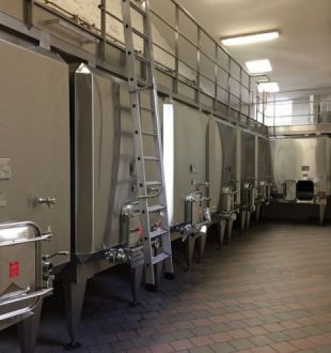 BWT - Photo vignette - Clos Badon (4)