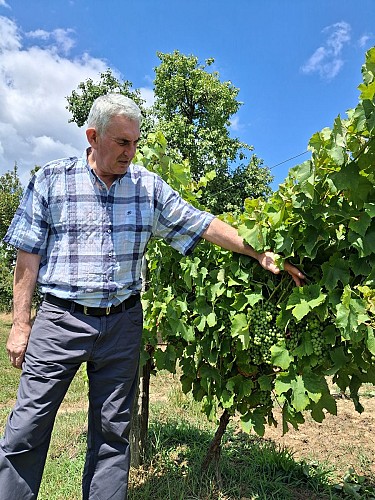 2025 - LABA - Visite de la Ferme de Labouc - ©OT Landes d'Armagnac (39)