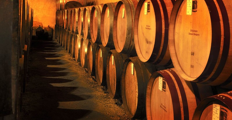 Labastide d'Armagnac - Producteur - Domaine de Boingneres - Chai
