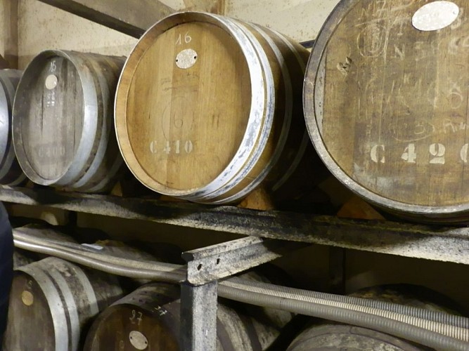 Producteur Armagnac - Hontanx - Domaine du Martin- Armagnac - Chai