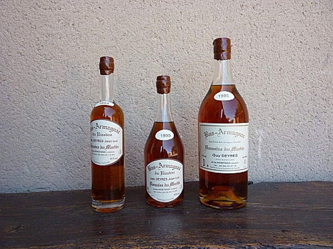 Bouteilles - Hontanx - Domaine du Martin