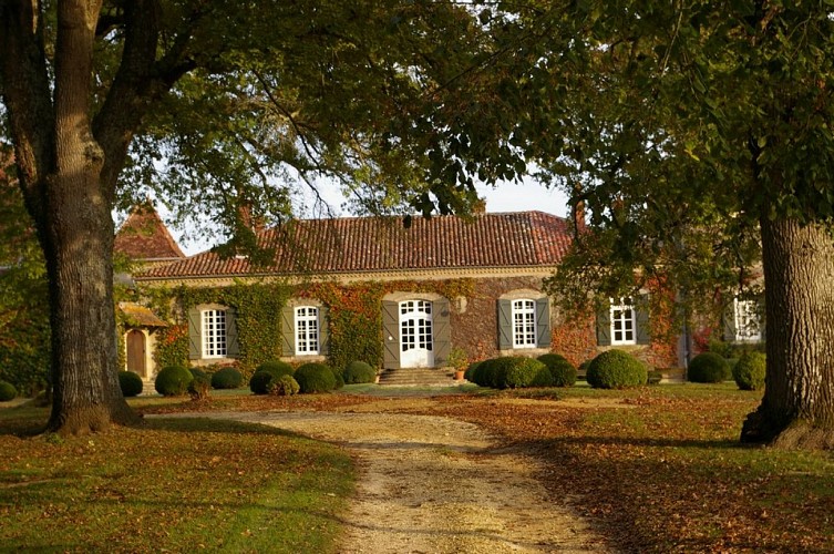 Producteur - Armagnac - Lacquy - Chateau de Lacquy - Vignoble - Automne