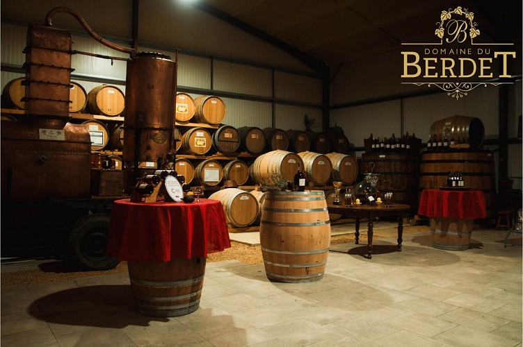 2025 - BOUR - Domaine de Berdet - Chai - ©Domaine du Berdet