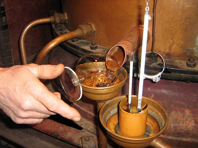 Domaine du Berdet - distillation