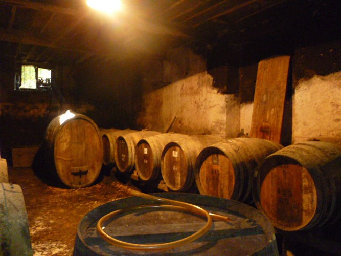 Labastide d'Armagnac - Producteur armagnac - Domaine du Prada - chai (9)