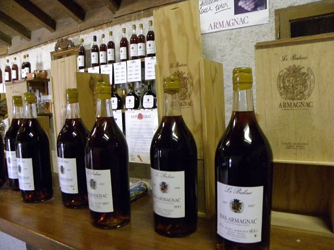 Domaine Le Balous Armagnac