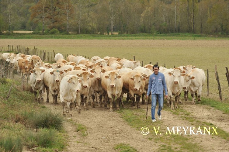 Ferme Gardelly